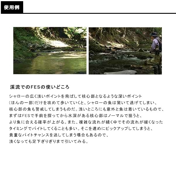 Ｄ－コンパクト　ＦＥＳ　４５